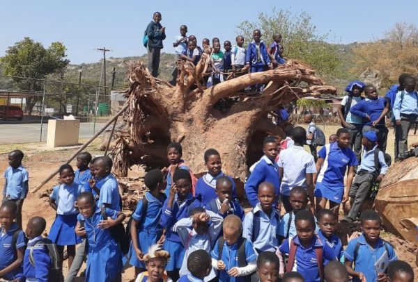 Maphakama Primary School in Kabokweni outside Nelspruit was the beneficiary of this year’s annual Arbor Day tree-planting event coordinated by the South African Council for Business Women (SACBW) and Stop Poaching Endangered African Rhino (SPEAR).